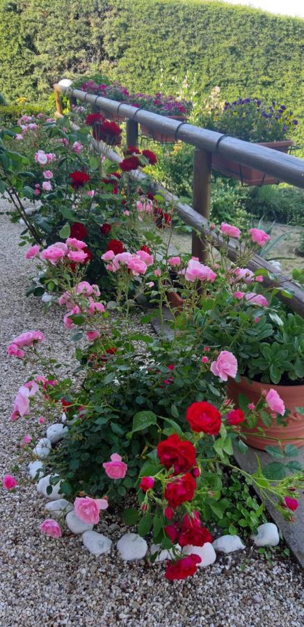 Bed & Breakfast B&B Le Terrazze