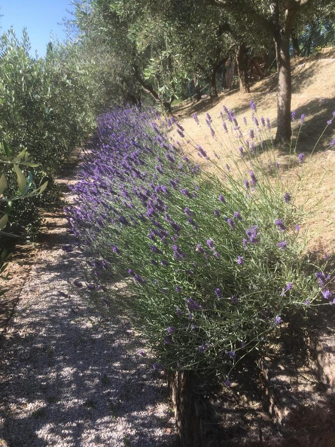 Bed & Breakfast B&B Le Terrazze 3*