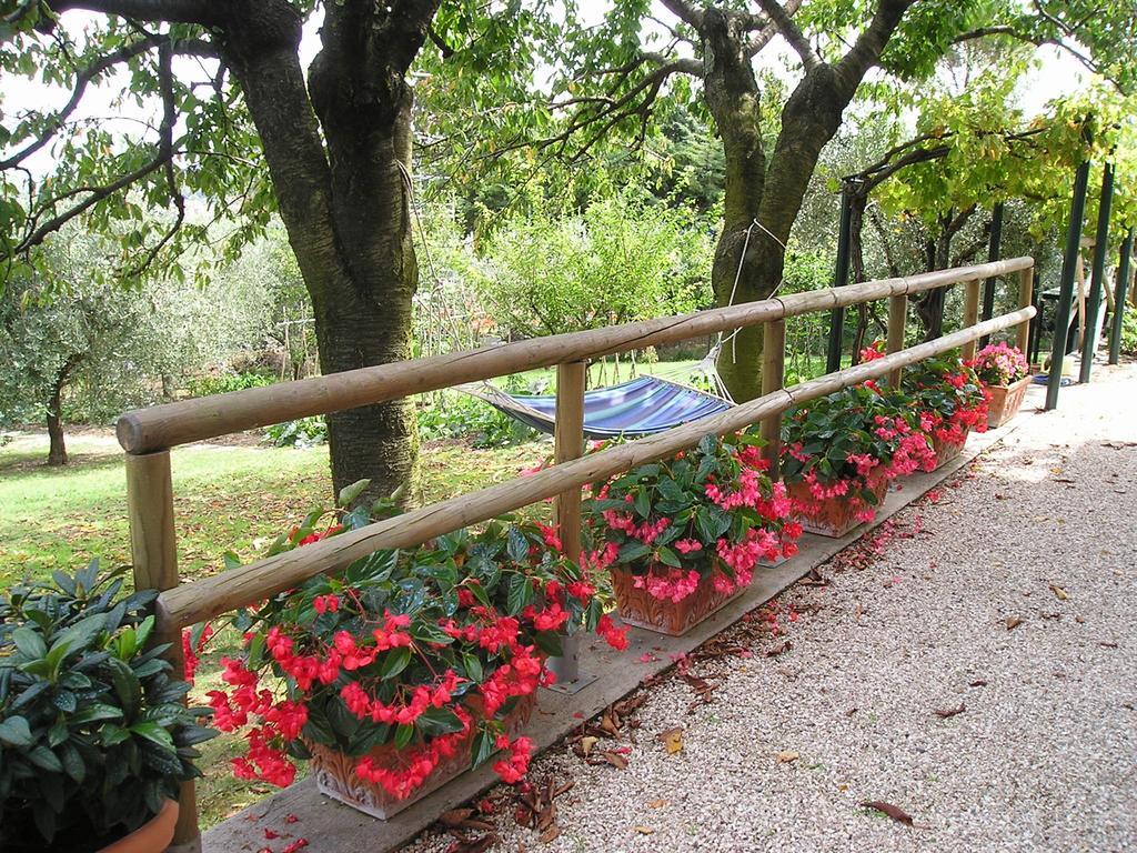 Bed & Breakfast B&B Le Terrazze 3*