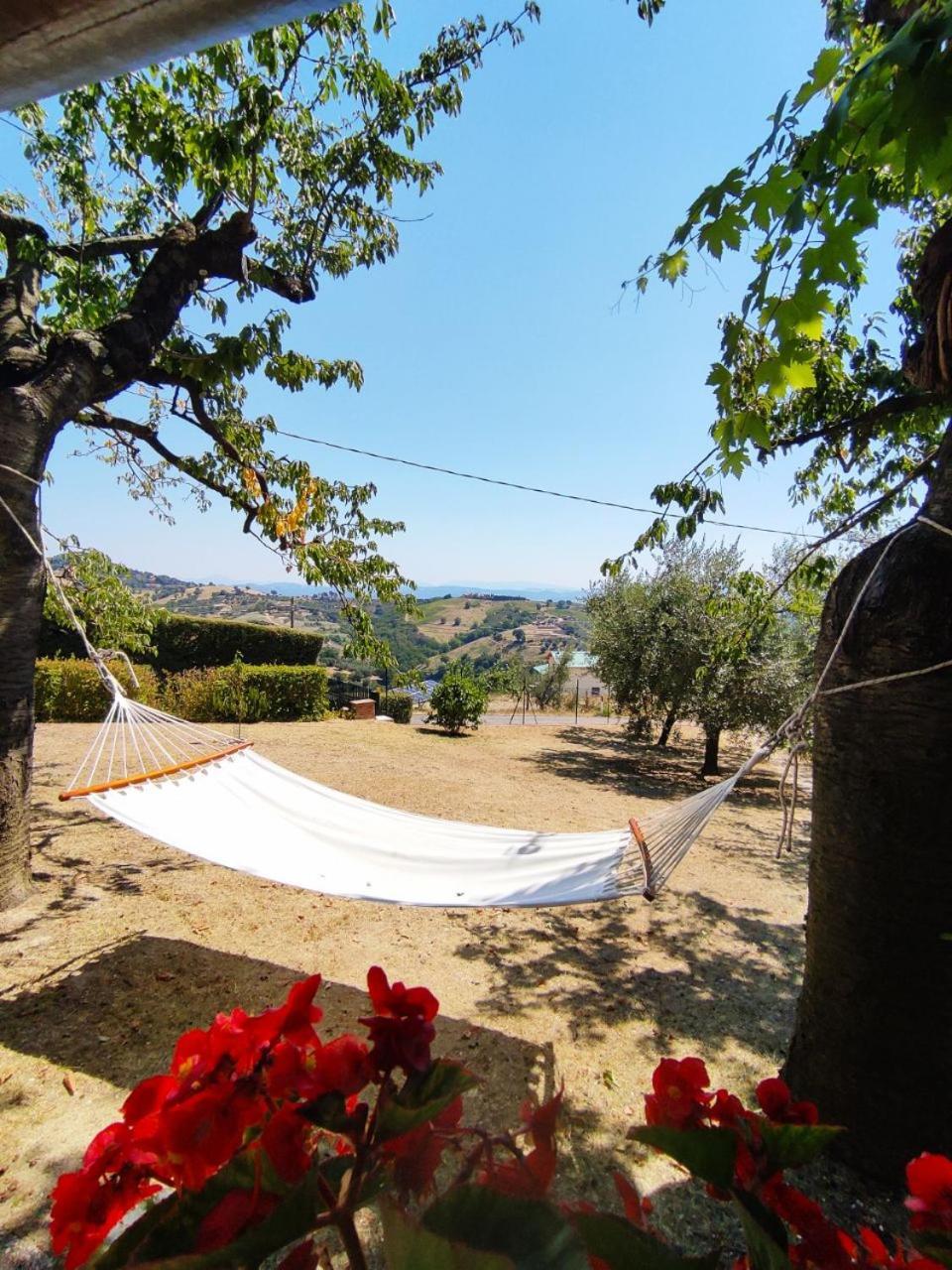 B&B Le Terrazze Perugia